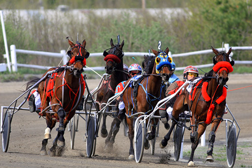 Goshen Historic Track and Harness Racing Museum